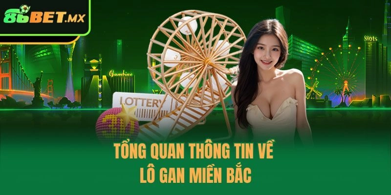 Tổng quan thông tin về lô gan miền Bắc